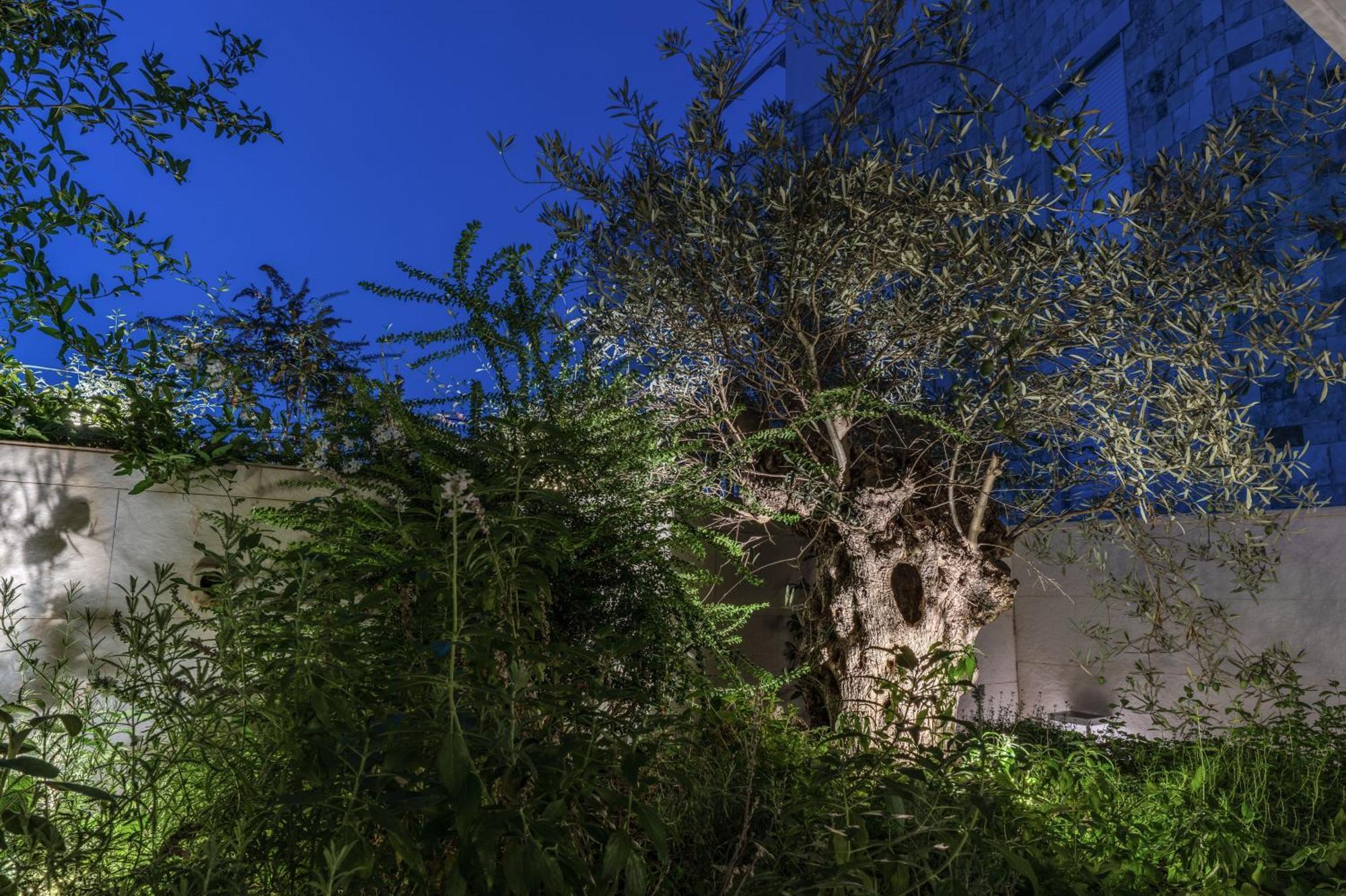 Olea Boutique Suites Polignano Polignano a Mare Exterior photo